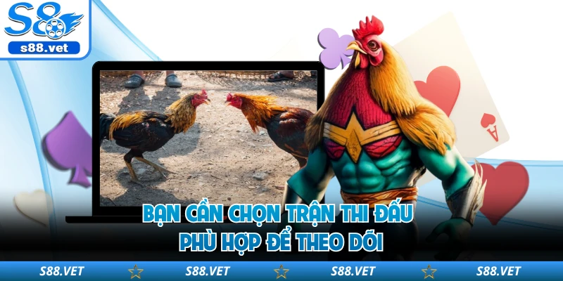 Đá Gà Thomo - Sân Chơi Chọi Kê Đỉnh Cao Tại S8 Uy Tín 3 Bạn cần chọn trận thi đấu phù hợp để theo dõi