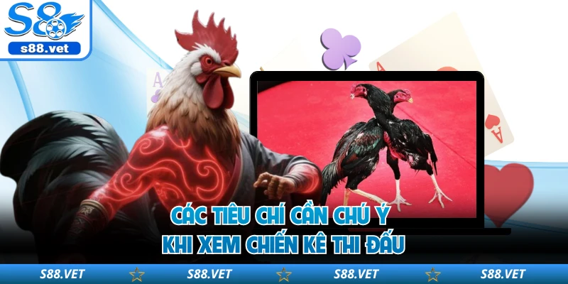Đá Gà Online S8 - Chinh Phục Những Màn Đối Đầu Kịch Tính 2 Các tiêu chí cần chú ý khi xem chiến kê thi đấu