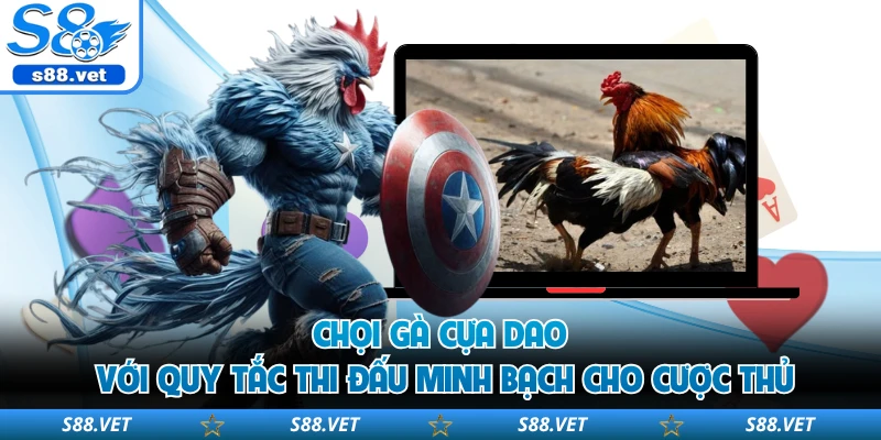 Chọi gà cựa dao với quy tắc thi đấu minh bạch cho cược thủ