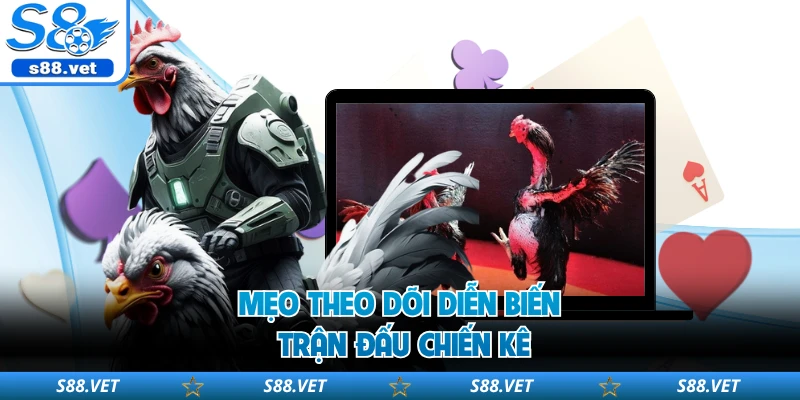 Đá Gà Online S8 - Chinh Phục Những Màn Đối Đầu Kịch Tính 3 Mẹo theo dõi diễn biến trận đấu chiến kê