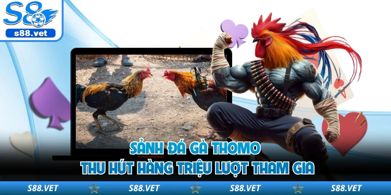 Đá Gà Thomo - Sân Chơi Chọi Kê Đỉnh Cao Tại S8 Uy Tín 1 Sảnh đá gà Thomo thu hút hàng triệu lượt tham gia